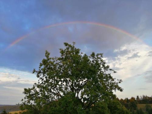 Eifelferienkurth — Nettersheim — photo 4