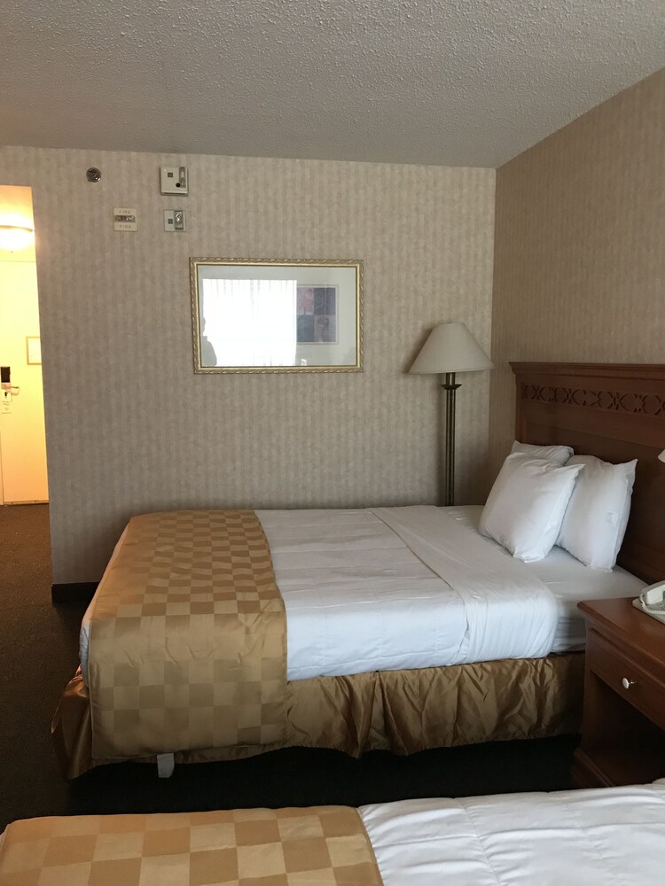 Ramada Dallas North - photo 11