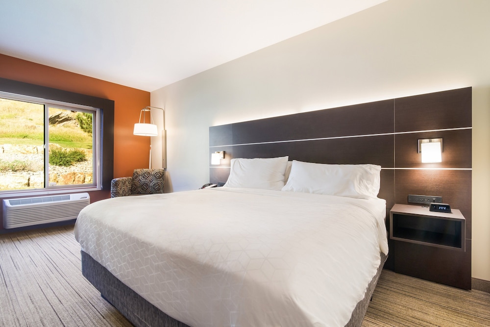 Holiday Inn Express & Suites Custer Mt Rushmore - photo 6