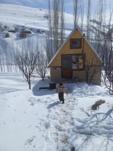Mehron hotel in Unknown City, Uzbekistan