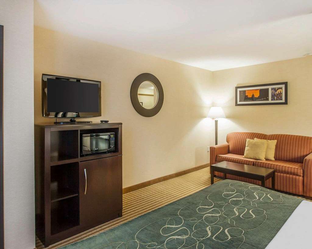 Comfort Suites Wenatchee Gateway - photo 11