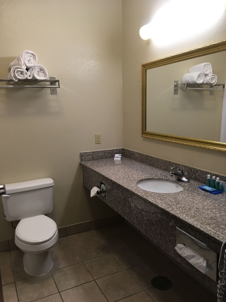 Holiday Inn Express Hotel & Suites Cadillac by IHG - photo 15