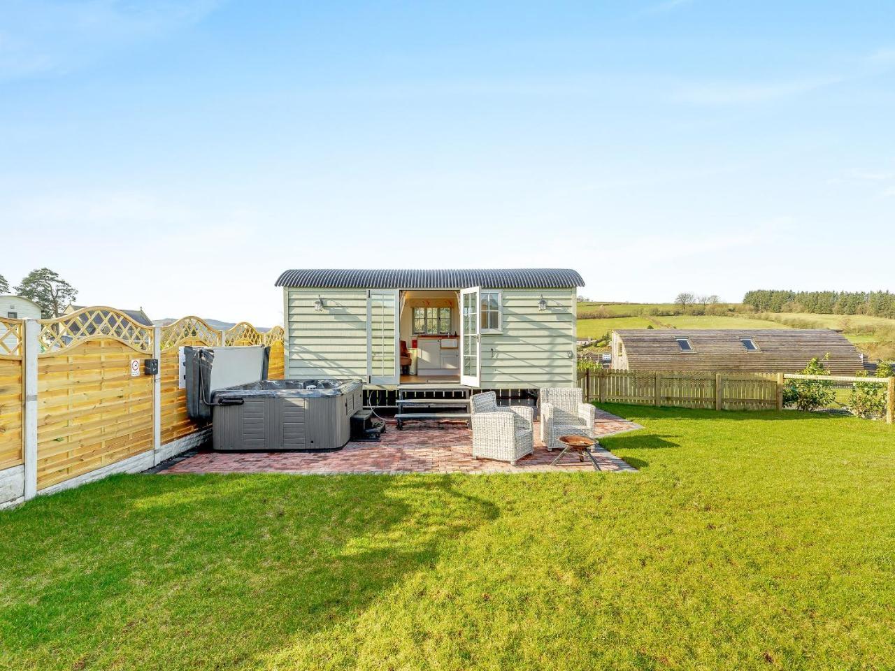 Sunflower Uk42360 in Rhayader, United Kingdom