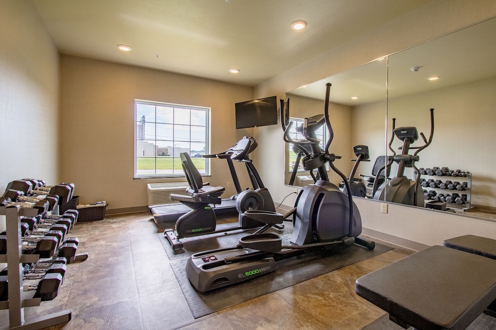 Cobblestone Inn & Suites Kermit - photo 24