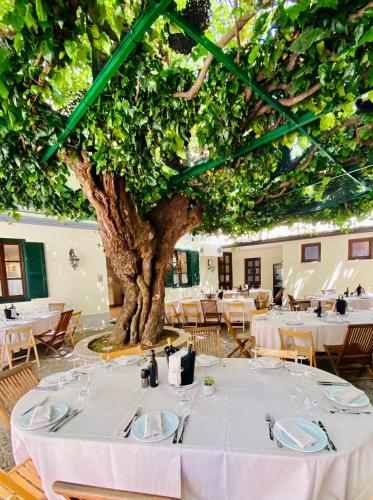 Antica Locanda Al Gelso — Monfalcone