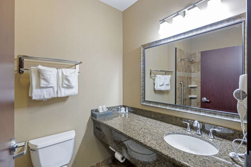 Comfort Inn & Suites Fort Worth Fossil Creek - photo 24