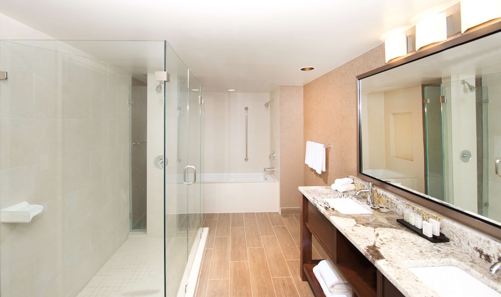 Embassy Suites by Hilton Cincinnati Northeast Blue Ash - photo 24