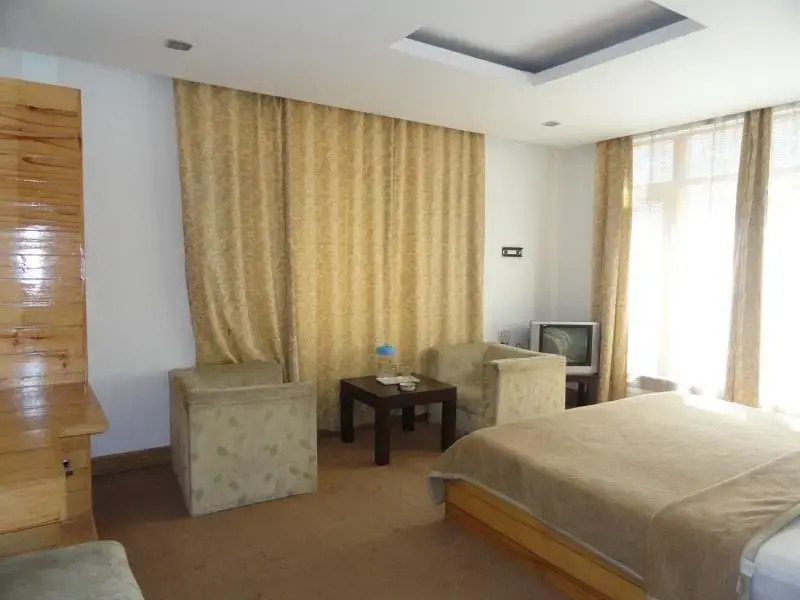 Dream View Resorts — Manali — photo 4