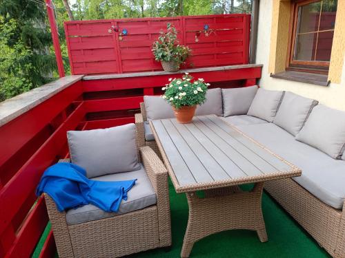 Małgorzatka in Krynica Morska, Poland