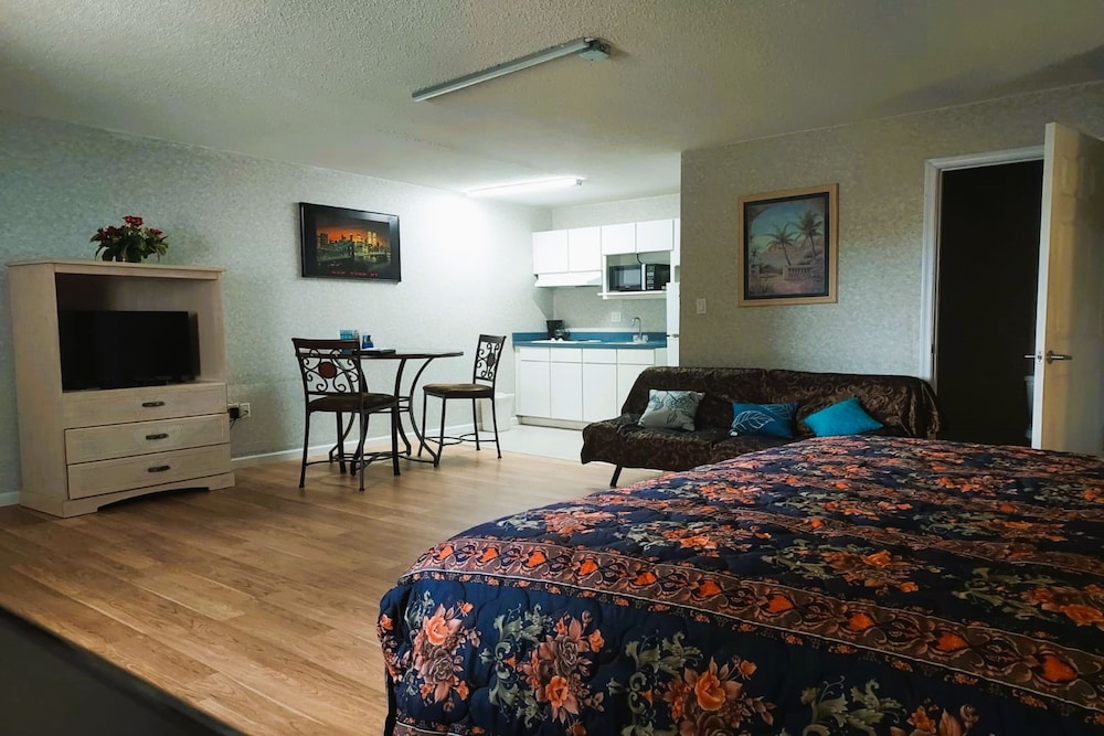 Studio Inn & Suites - photo 3