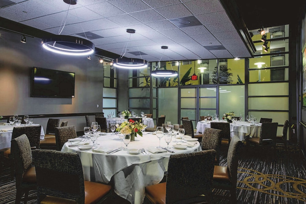 Embassy Suites by Hilton Atlanta at Centennial Olympic Park - photo 53