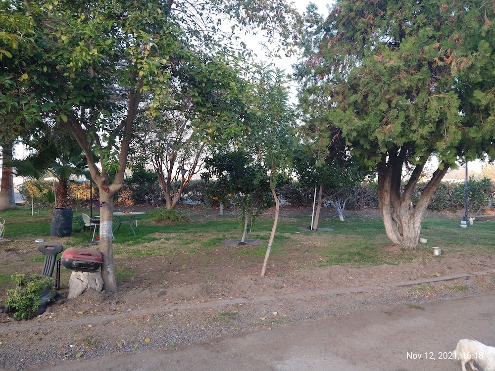 EL Amigo Motel - photo 25