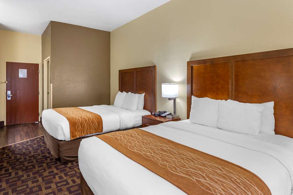 Comfort Inn & Suites North Aurora Naperville - photo 11