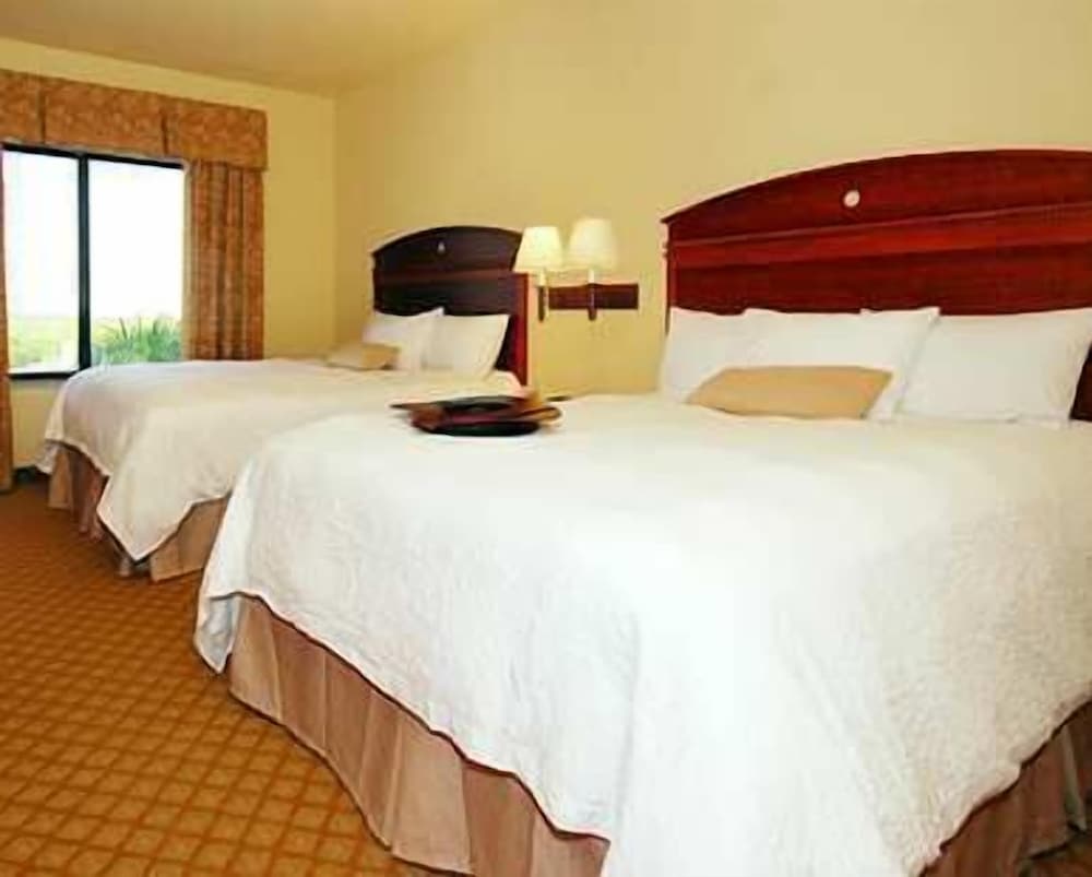 Hampton Inn & Suites Pharr - photo 6