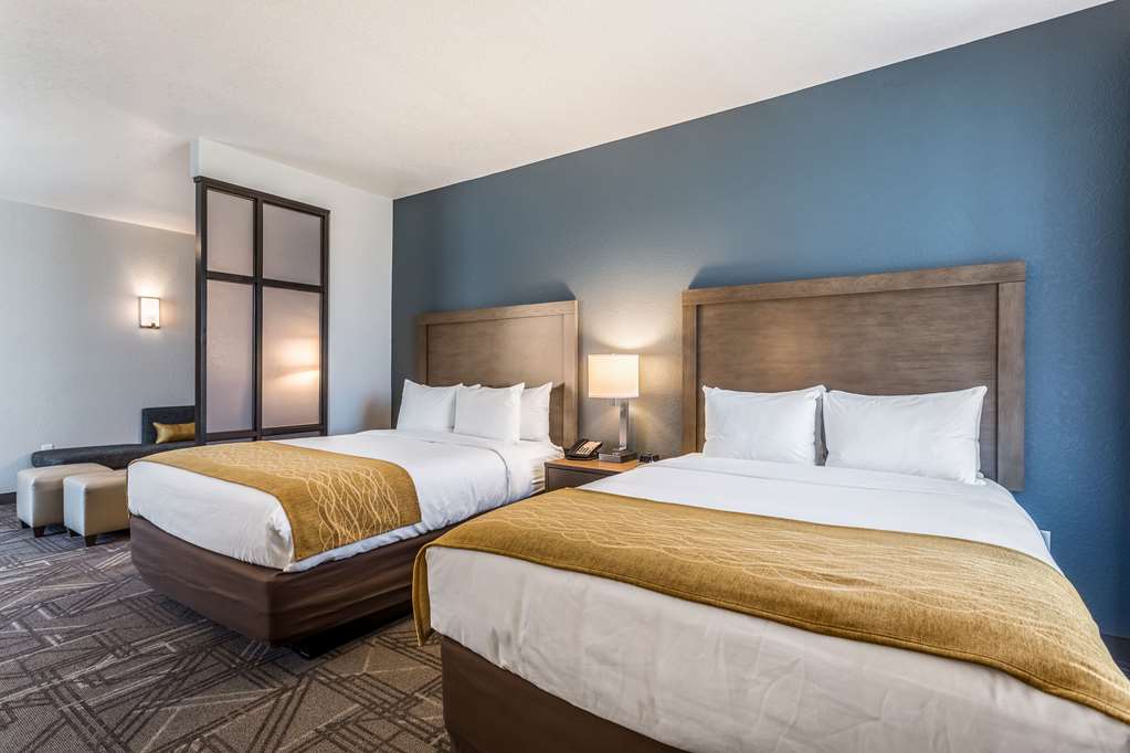 Comfort Inn & Suites Salt Lake City Airport - photo 53
