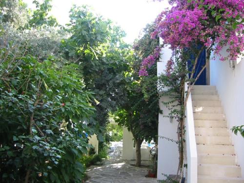 Mavi Apart Otel - last minute hotel in Bodrum