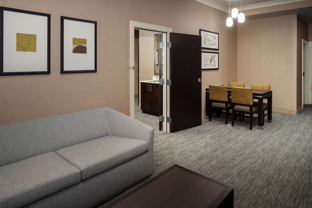 Embassy Suites by Hilton St. Louis Downtown - photo 22