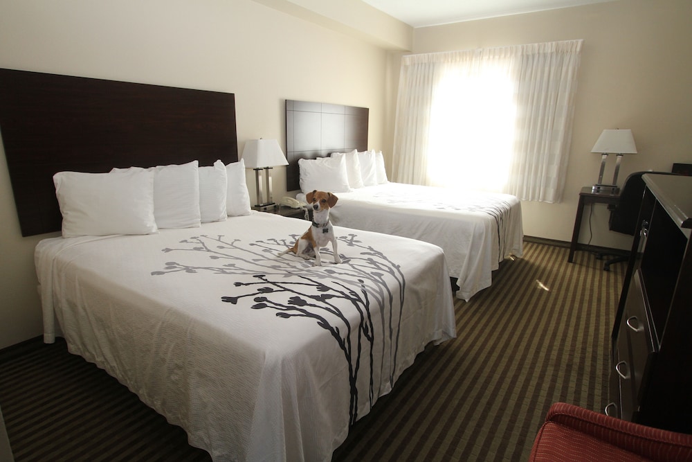 Bowman Inn & Suites - photo 18