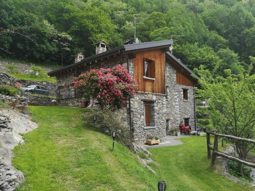 Le Rive nel bosco pet-friendly hotel Capo Di Ponte