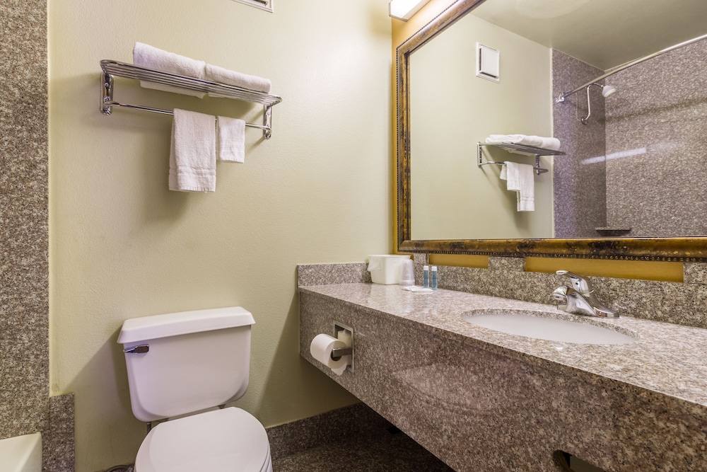 A Victory Inn Tolleson - photo 13