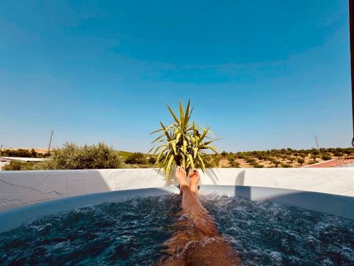 Muralhas do frade - last minute hotel in Unknown City