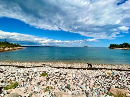 Corea Harbor's Black Duck Inn - photo 35