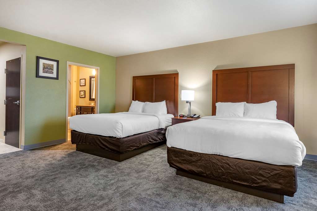 Comfort Inn Bentonville Crystal Bridges - photo 13