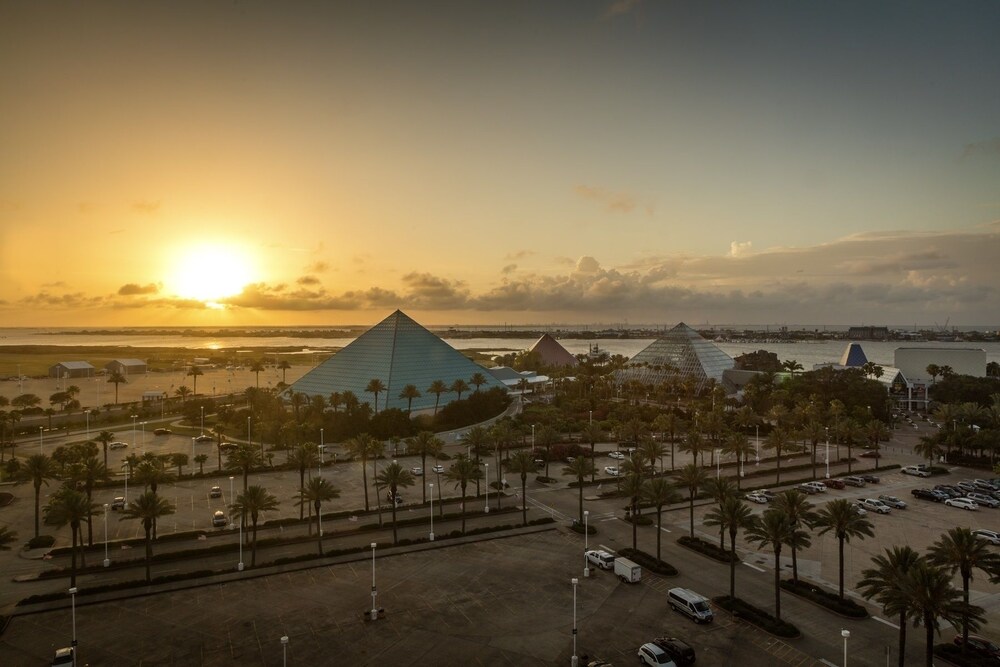 Moody Gardens Hotel Spa and Convention Center - photo 73