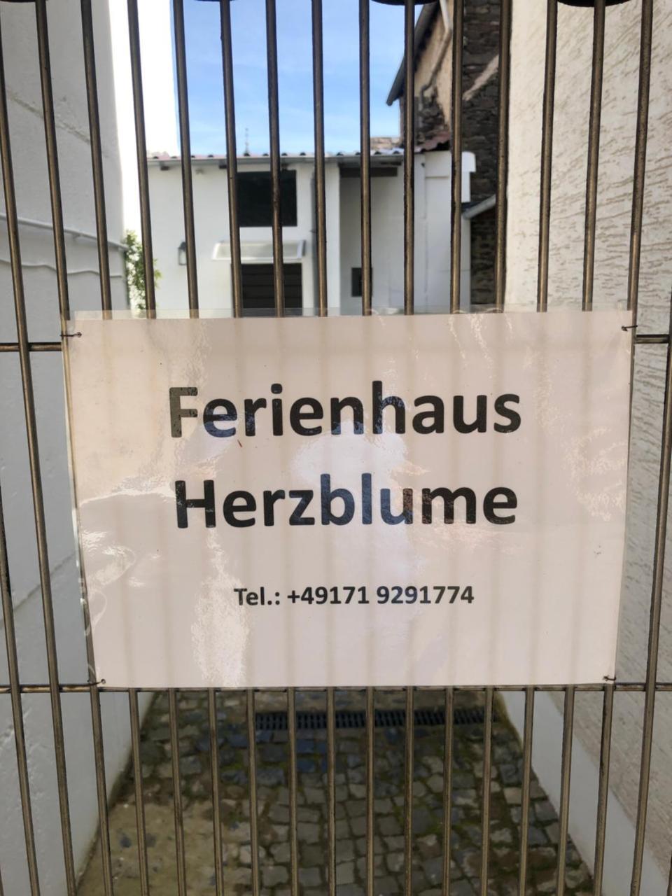 Ferienhaus Herzblume — Cochem — photo 2