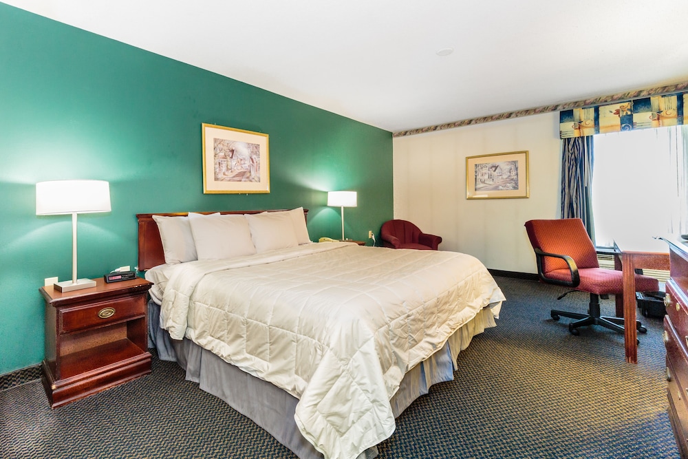 The View Inn & Suites - photo 8