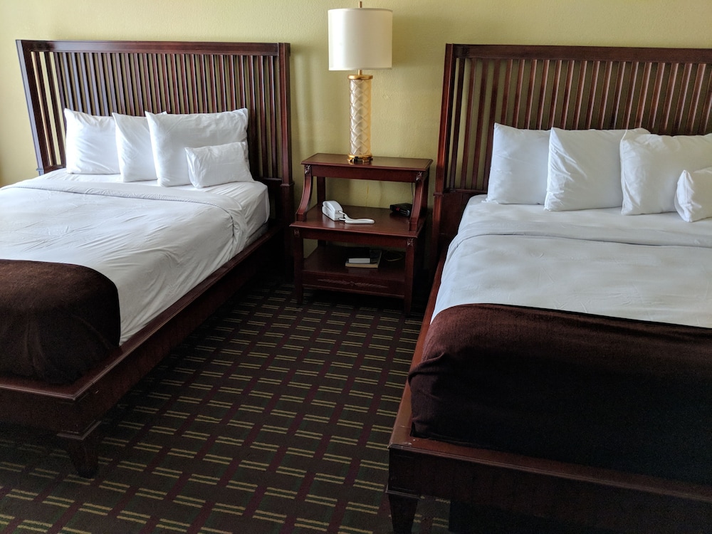 Vista Inn Lake Tarpon - photo 11