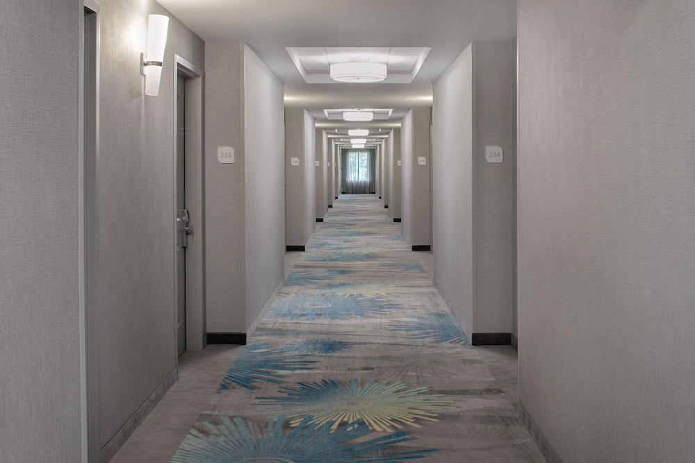 Hilton Garden Inn DFW Airport South - photo 31
