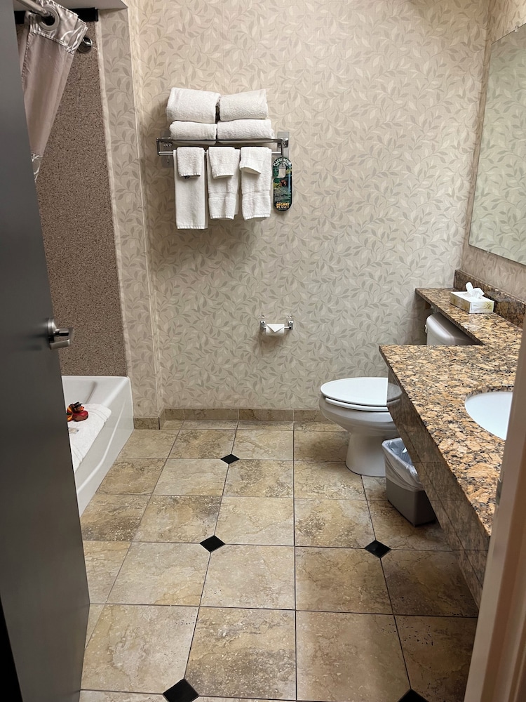 Mineral Palace Hotel & Casino - photo 27
