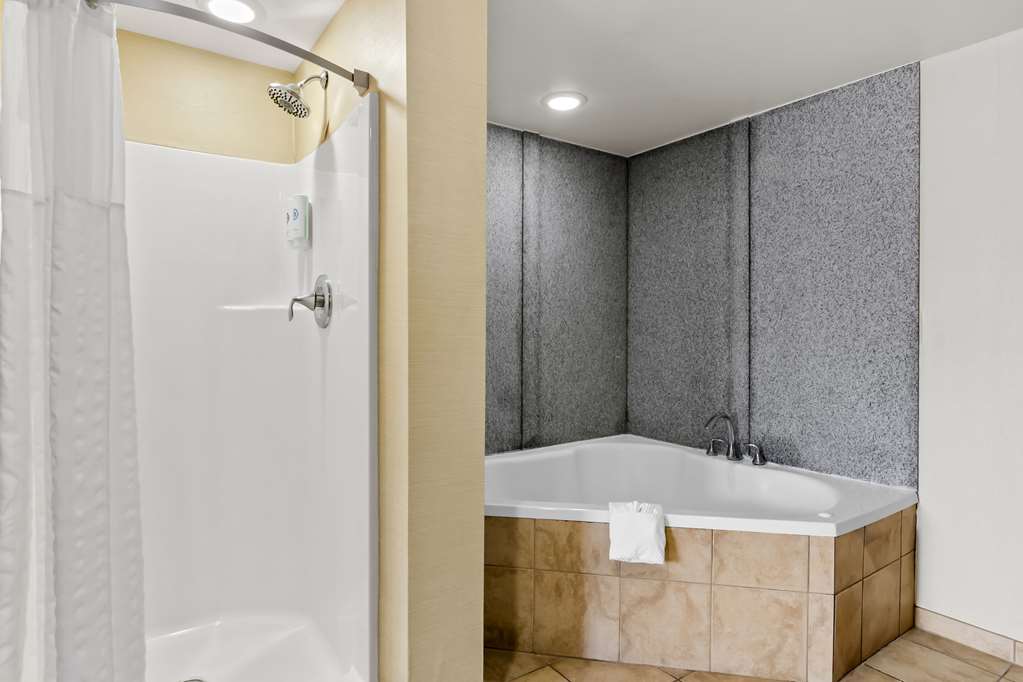 Comfort Suites Salem Roanoke I 81 - photo 11