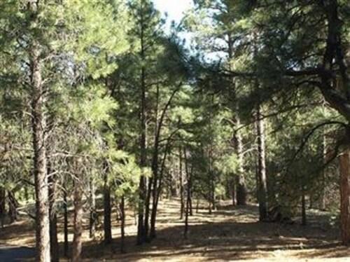Whispering Pines Inn - featured photo