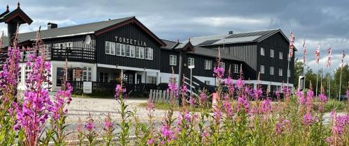 Torsetlia - last minute hotel in Unknown City