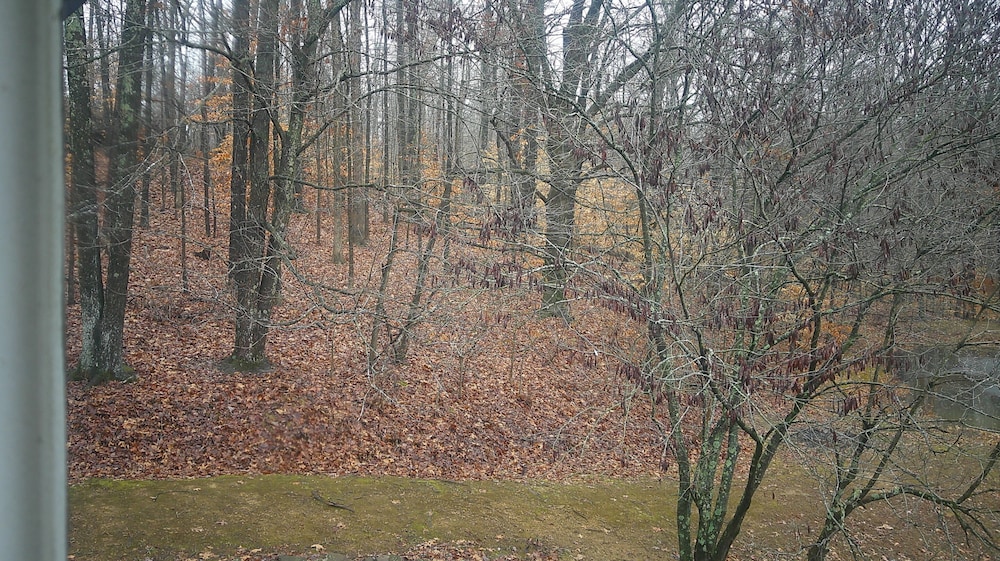 Lil Black Bear Inn - photo 149