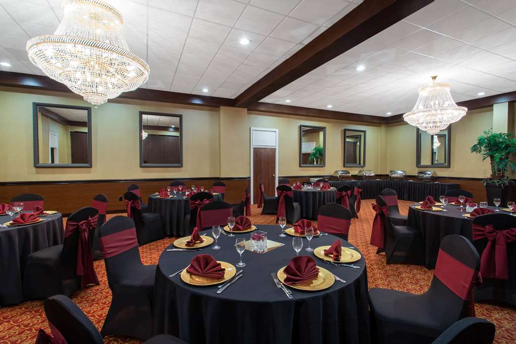 Ramada by Wyndham Tampa Westshore Airport South - photo 39