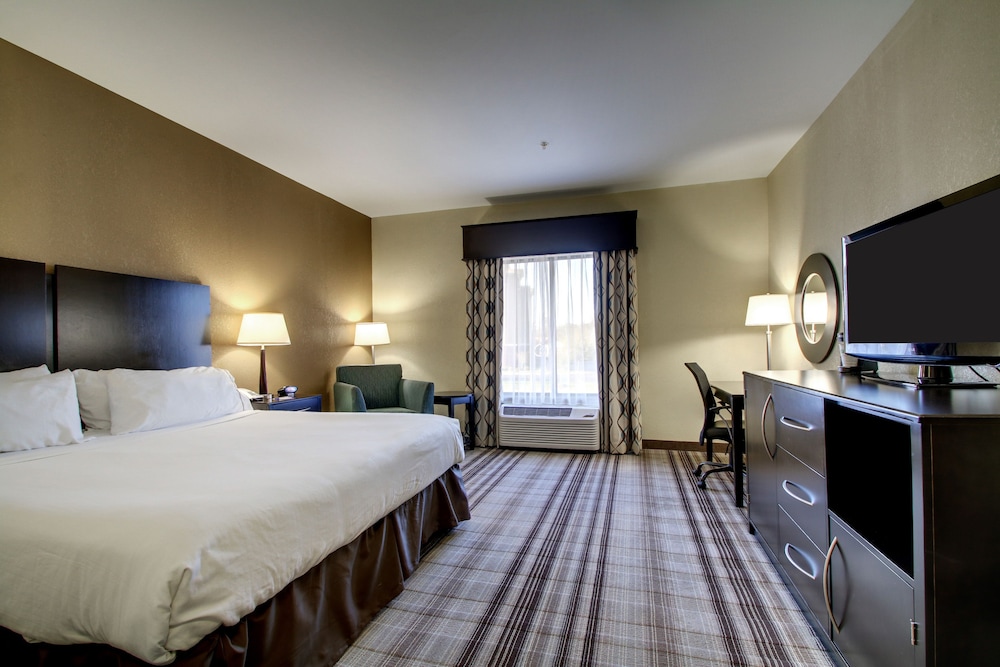Holiday Inn Express Hotel & Suites Natchez South by IHG - photo 9