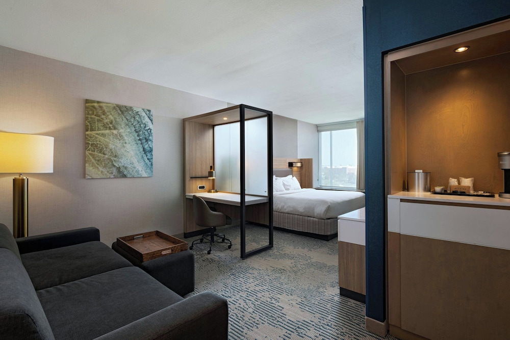 SpringHill Suites by Marriott Austin Cedar Park - photo 10