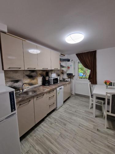 Apartament LUKE — hotel in Targu Ocna