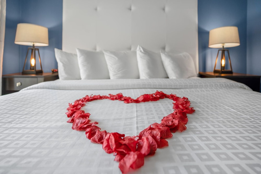 Avalon Hotel Downtown St. Petersburg - photo 12