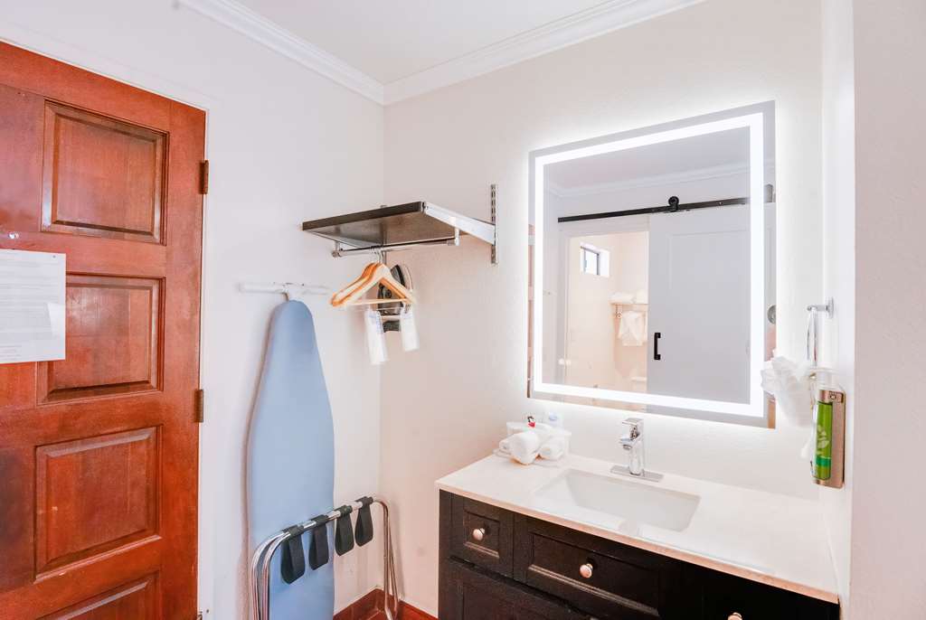 Ramada by Wyndham Mountain View - photo 30