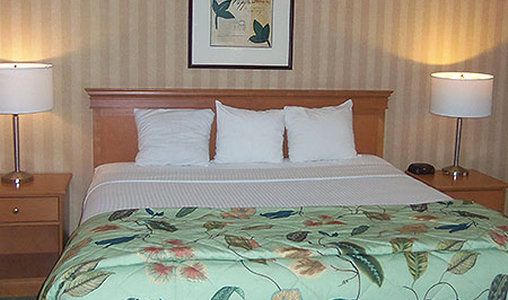 Sacramento Inn and Suites - photo 5