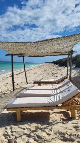 Kokoa Sands Ankasy Madagascar — Toliara — photo 4