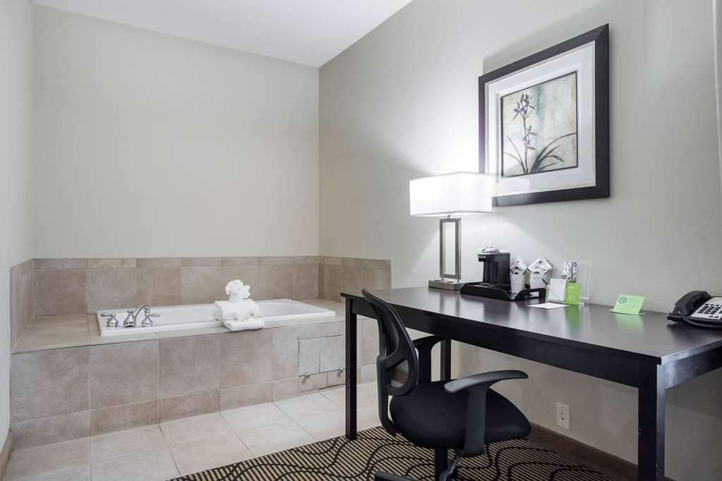 La Quinta Inn & Suites by Wyndham Auburn - photo 29