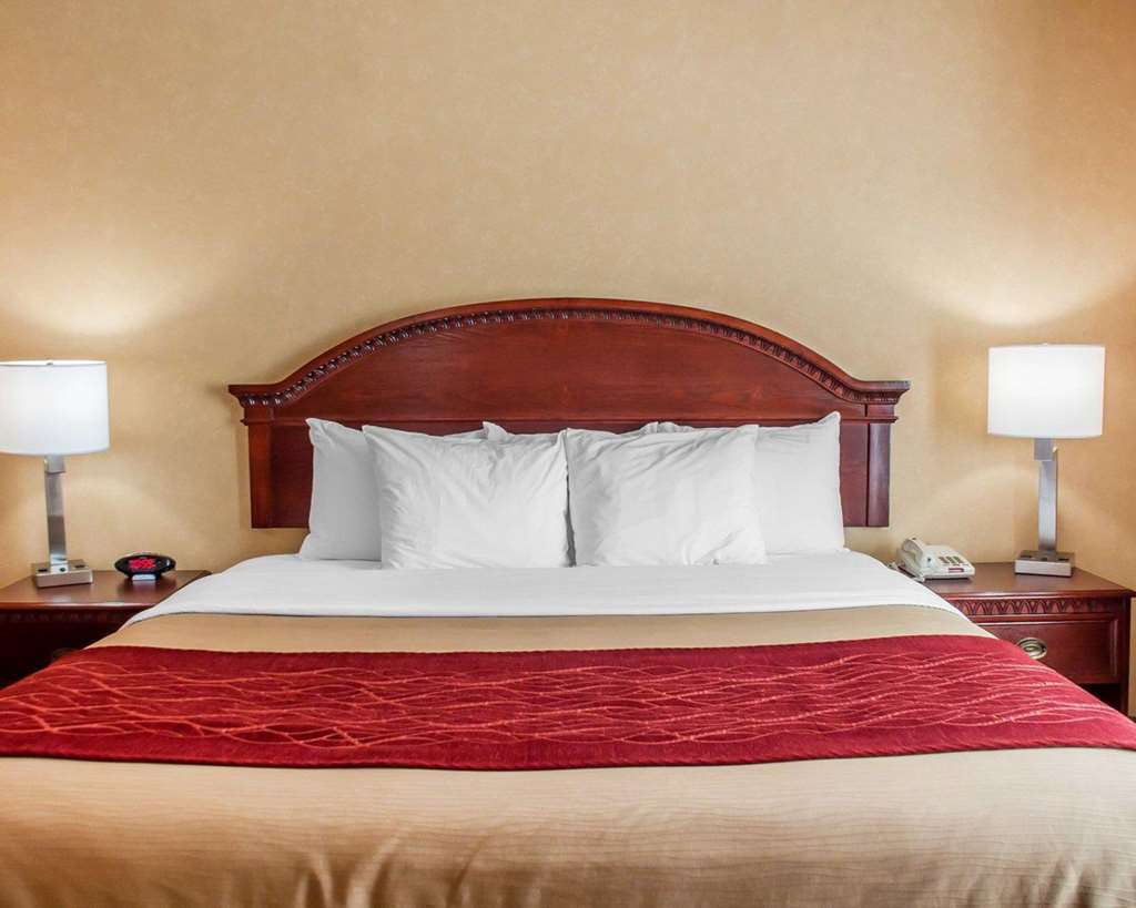 Quality Inn Near Walden Galleria Mall - photo 11