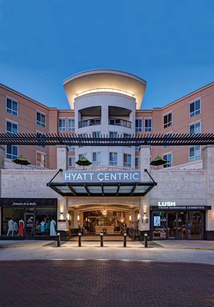 Hyatt Centric The Woodlands - photo 18