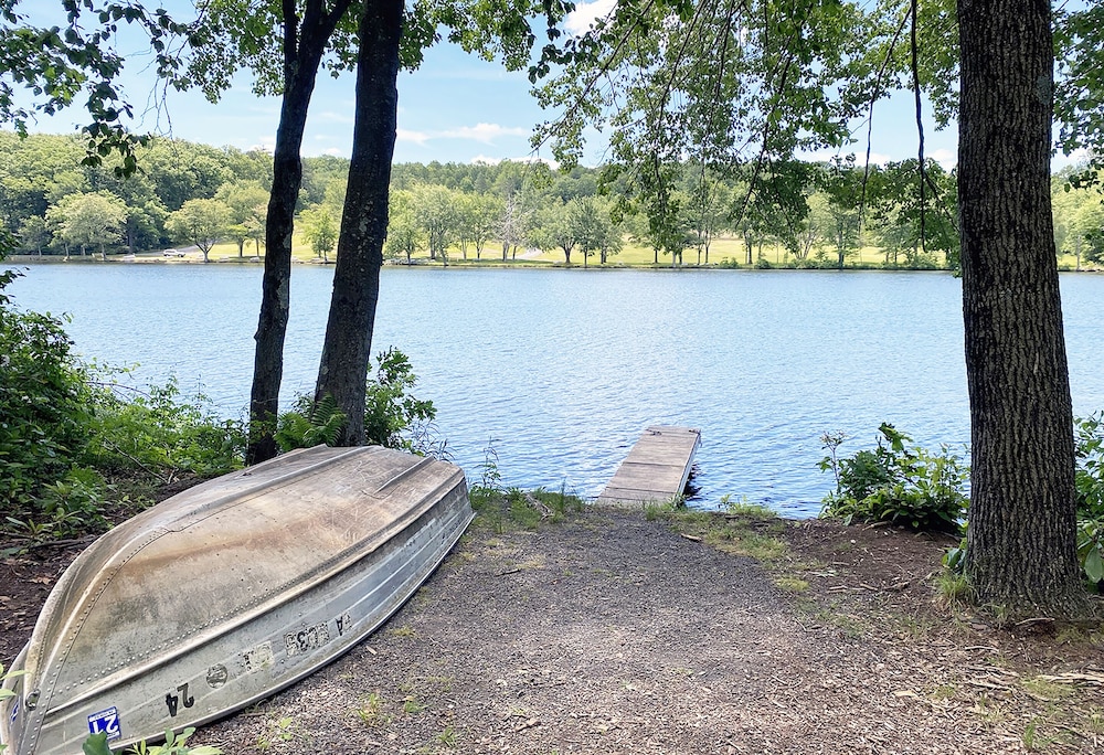 Mountain Springs Lake Resort - photo 332