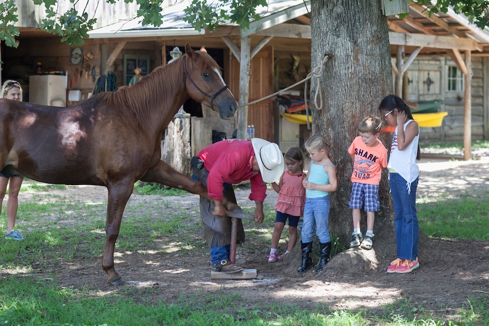 Seventy four Ranch - photo 31